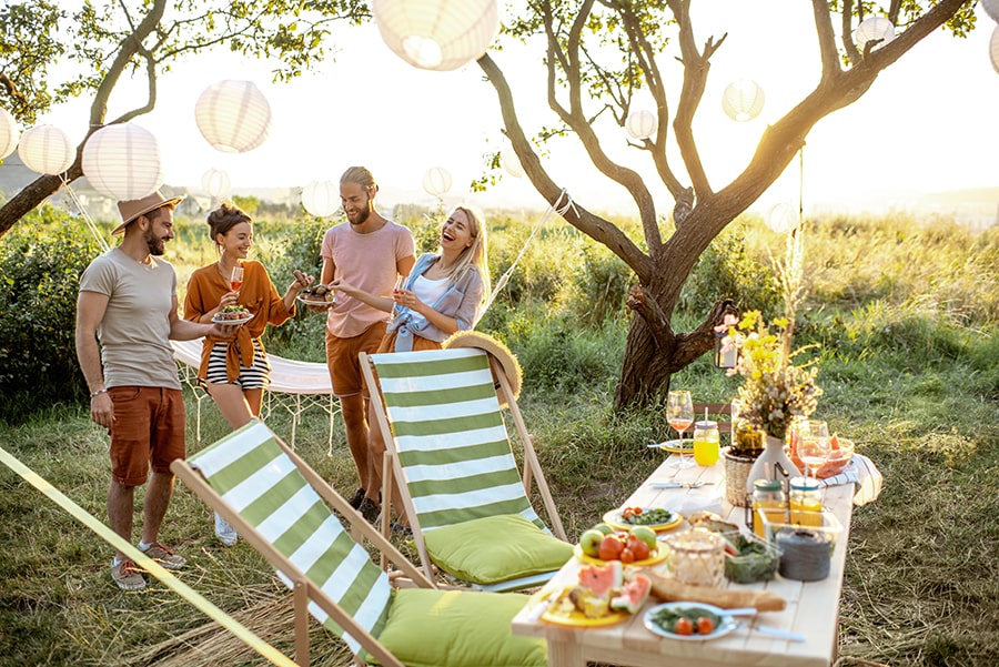 How to Repel Gnats in Your Home or Garden