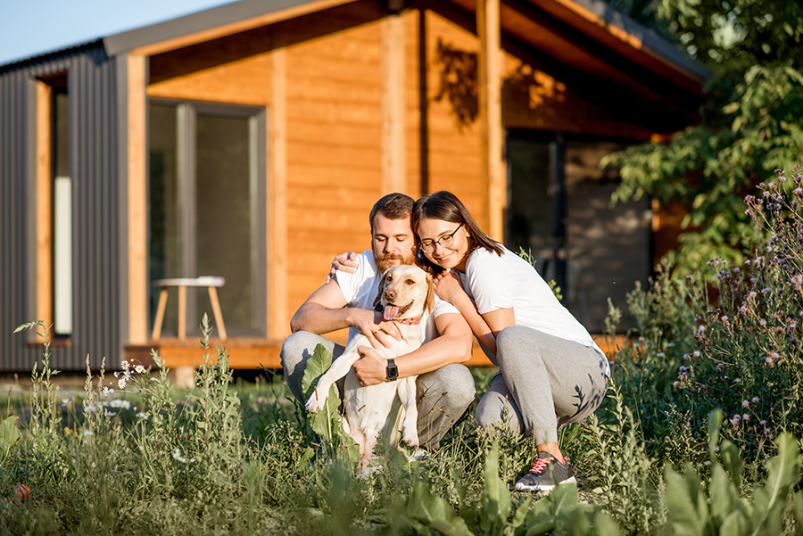Do Natural Remedies Repel Mosquitoes?