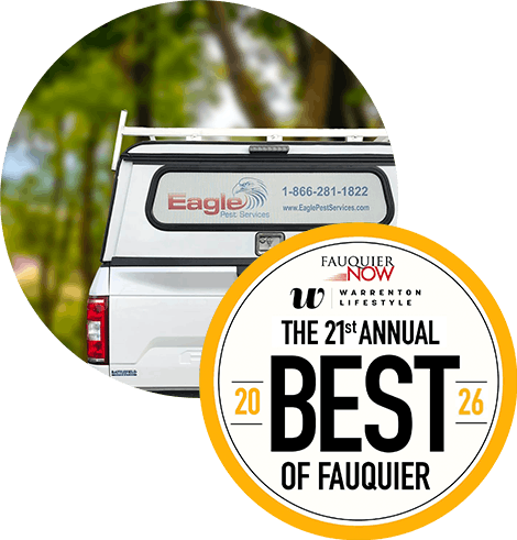 Best of Fauquier 2025 Banner